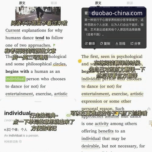 多宝体育APP安装教程对比：网页版vs安卓版，哪个更适合你？